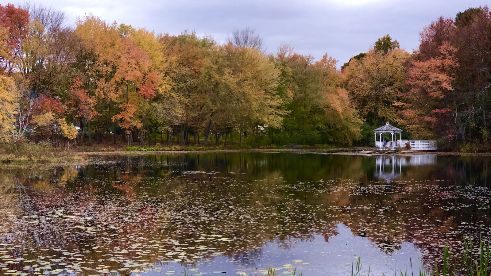 Scenic view of Connecticut