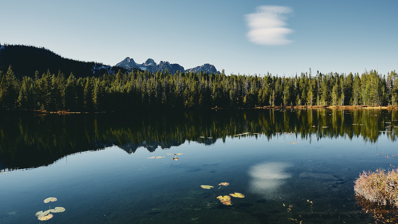 Scenic view of Idaho