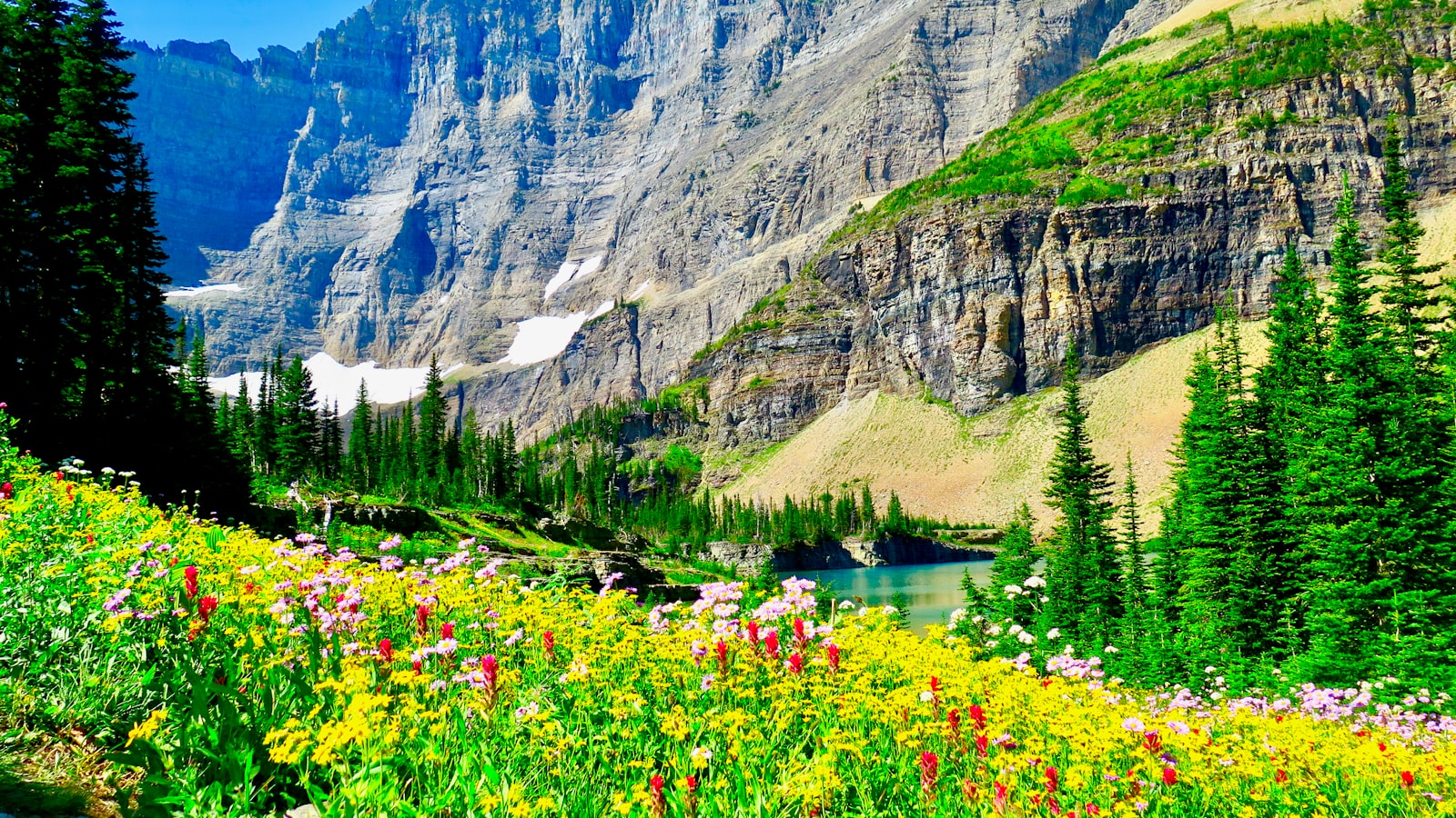Scenic view of Montana